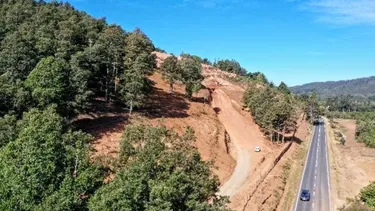 Empresario intervino cerro y causó daños irreversibles en humedal prioritario: Piden 8 años de cárcel y multa de $1.700 millones