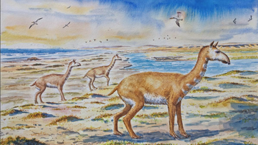Chileno corrige a Charles Darwin sobre enigmático animal que inspiró filme La Era del Hielo