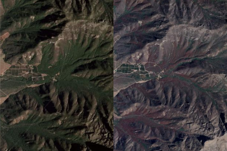 Bosque esclerofilo.png