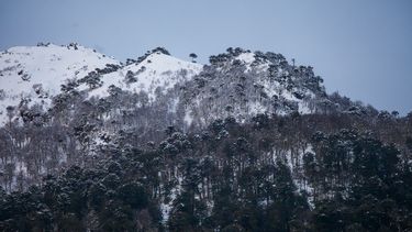 Conaf participará del Día del Patrimonio 2026 - Agencia Uno
