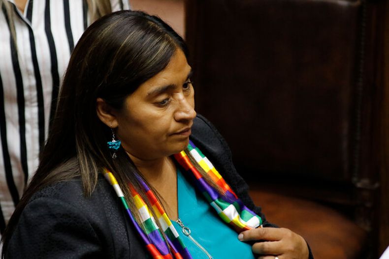 Senadora Fabiola Campillai.jpeg