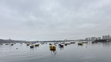Bahía La Herradura en Coquimbo. Sernapesca.&nbsp;