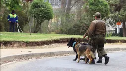Torturas con perros en comisaría de Estación Central: Carabineros sentenciados siguen en servicio activo