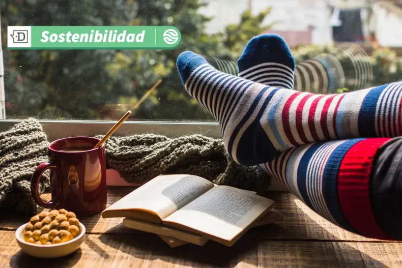 17446 diseno sin titulo 2025 06 13t162832.webp