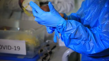 Investigadores australianos descubren cómo el sistema inmunológico combate el COVID-19
