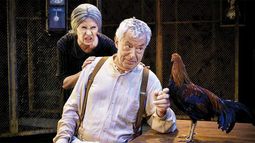 Crítica de teatro | Un gallo en escena y una guagua en la sala