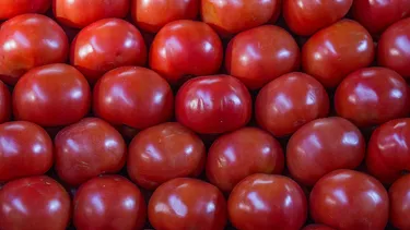El Desconcierto | 18754 tomates ipc junio.webp