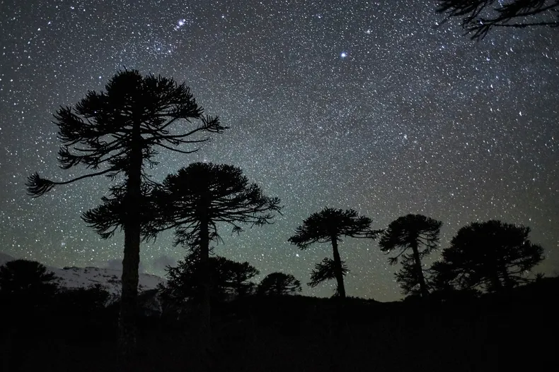 17991 araucania de noche 1.webp