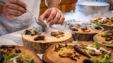 Pucón se luce con preparaciones de chocolate y hongos tras evento culinario con chefs internacionales