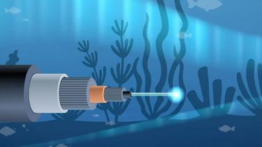 Cables submarinos se volvieron un dolor de cabeza y ONU crea entidad: 99% de datos viajan por fibra