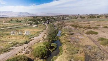 Río más largo de Chile en disputa: Declararon al Loa como humedal pero minería busca revertir la decisión