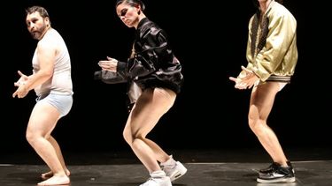 El Desconcierto | danza 1.jpg