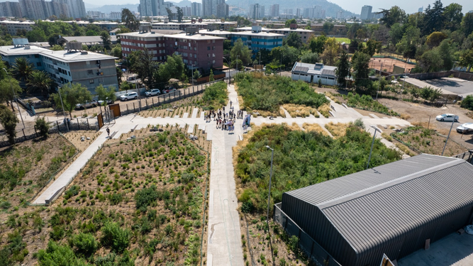 El bosque Miyawaki más grande de Chile, ubicado en comuna de Independencia.&nbsp;