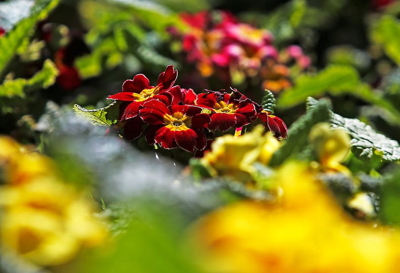 A_UNO_1111955.jpg