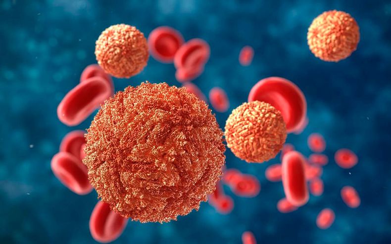 Así se vería el virus del Dengue que provocó Alerta Sanitaria - Captura de video