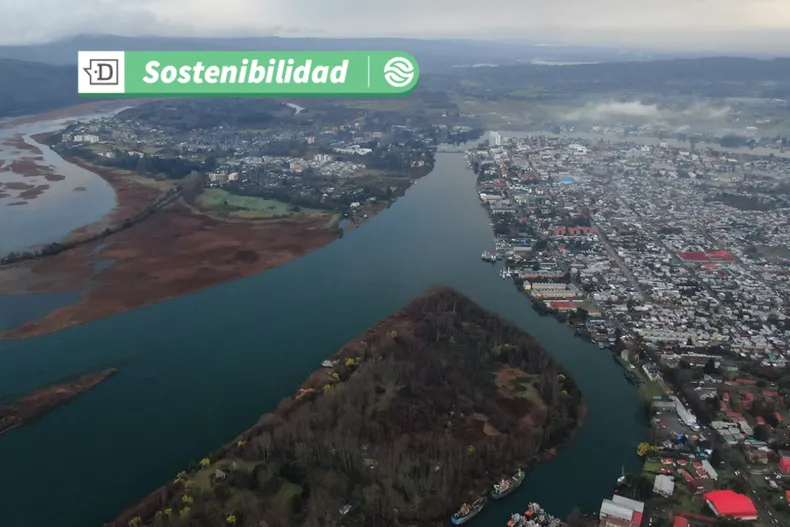 19492 diseno sin titulo 10.webp