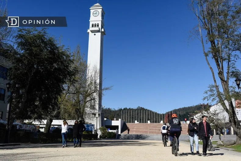 28783 universidad de concepcion.webp