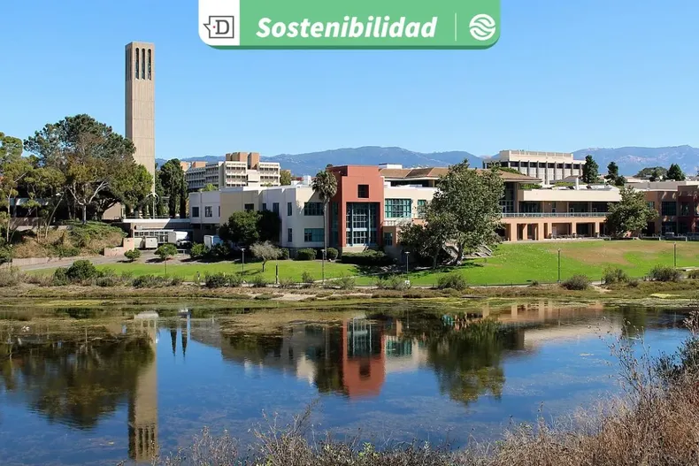 31080 diseno sin titulo 2026 03 11t153612.webp