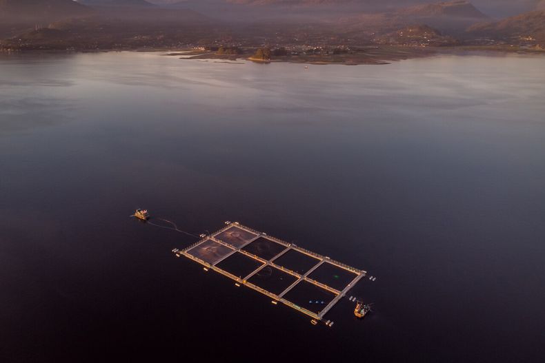Salmoneras en reservas nacionales.&nbsp;