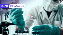 Ciencia, tecnología e innovación en la propuesta de nueva Constitución