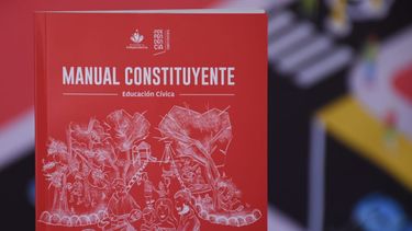 El Desconcierto | Manual Constituyente.jpg