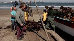 Chile: el tesoro de los pescadores de Ventanas
