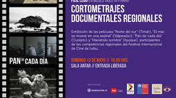 Cortometrajes documentales del Festival de Cine de Lebu se exhibirán este domingo en el Museo Violeta Parra