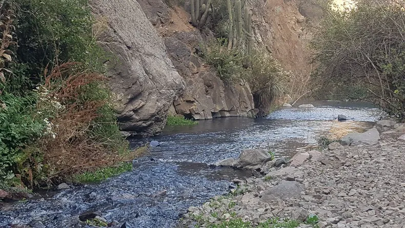 23040 esteroarrayan1.webp