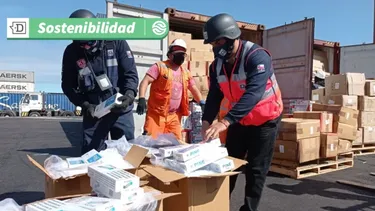 Solución para biodegradar cigarrillos ilegales: Científicos de la USM avanzan en método para revalorizar incautaciones