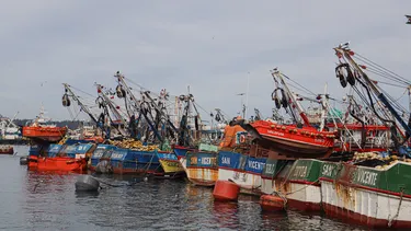 Pescadores artesanales exigen control a flota china: Piden coordinación entre Chile, Perú y Ecuador ante 117 naves detectadas