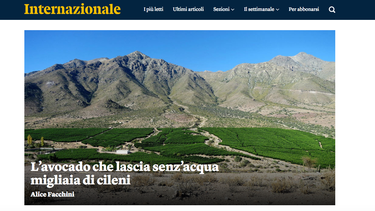 El conflicto de Petorca llega a Italia: Medio publica extenso reportaje sobre cómo empresas de palta se apropian del agua