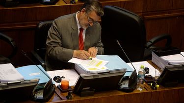 El Desconcierto | ale guillier.jpg