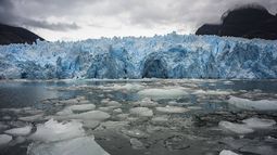 Gobierno logra acuerdo con salmonera para su salida de Parque Nacional