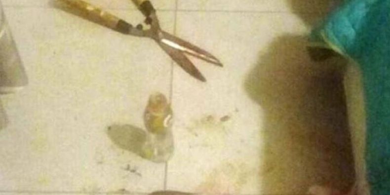 captura pantalla.jpg