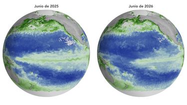 NASA muestra disminución de fitoplancton debido a El Niño - NASA