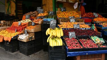 Región de Valparaíso: ¿Cuáles son las frutas y verduras que bajan de precio?