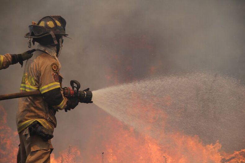 Bomberos combatiendo el fuego en incendio forestal.jpeg