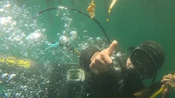 Para rescatar al loco chileno en Aysén: Buzos jardinean el fondo marino dañado con técnicas ancestrales