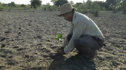 VIDEO| El documental sobre el hombre que plantó un árbol cada día de su vida por 37 años para salvar su isla