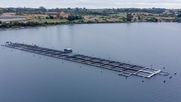 chile tiene el record mundial de mortalidad de buzos en la industria salmonera: ¿podra hacer algo la ley 21.789?