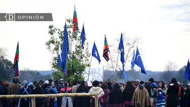 El Desconcierto | Pueblo Mapuche e1706542276770.png