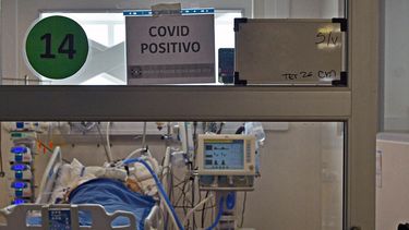 El Desconcierto | COVID 19 1.jpg