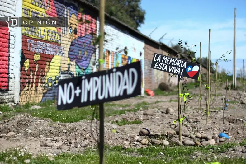 14333 cartel que dice no mas impunidad enterrado donde encontraron.webp