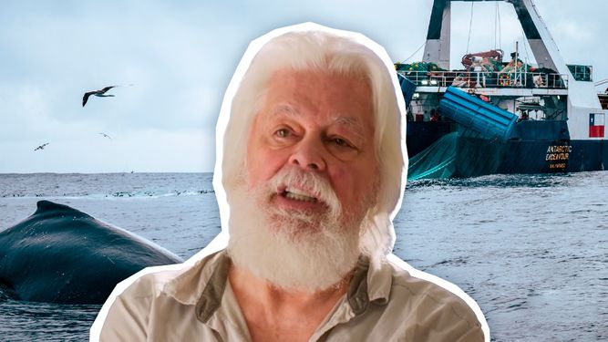 Paul Watson contra la cosecha de krill en la Antártica. Fotos: cedidas.