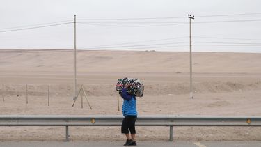 Por no otorgar oportunidad: Haitiana que ingresó clandestinamente a Chile no puede ser expulsada según fallo