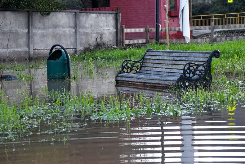 lluvia 3.jpg
