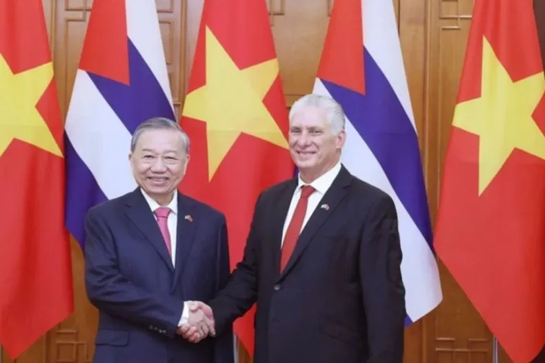 29672 diseno sin titulo 77.webp