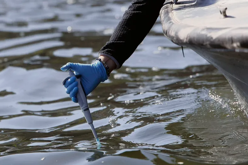 28687 a uno 518336.webp