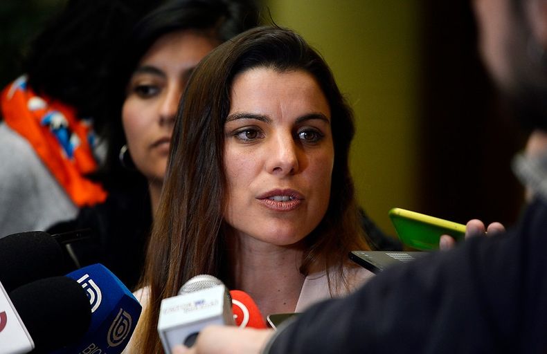 diputada orsini tomara acciones legales contra daniela aranguiz acusaciones son falsas 1.jpg