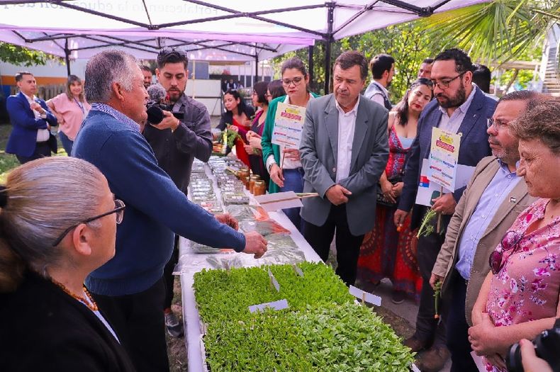 Junaeb y agricultura familiar campesina.jpg